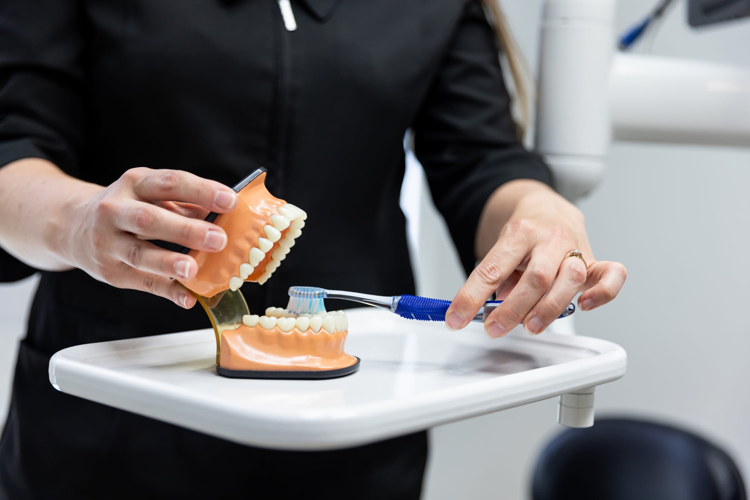 A team member demonstrating brushing technique on a dental model
